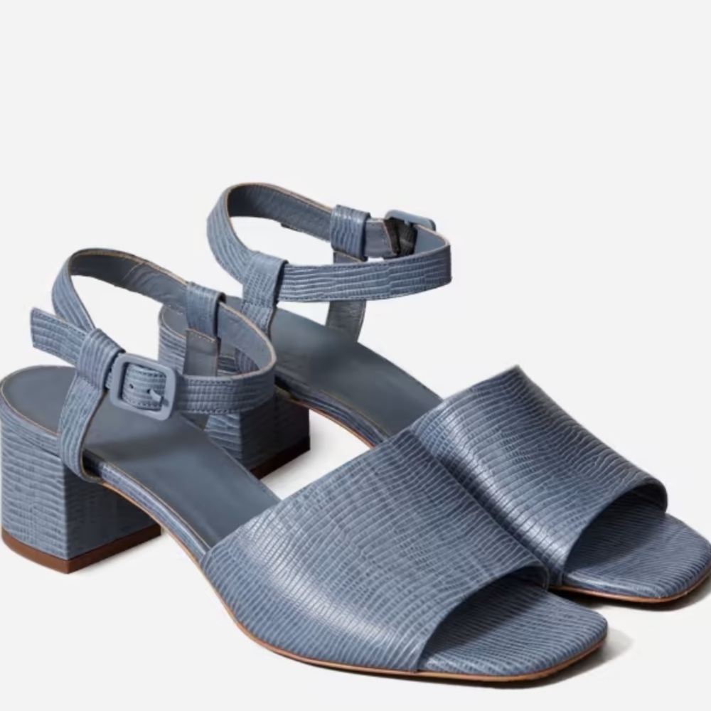 Everlane Block Heel Sandal